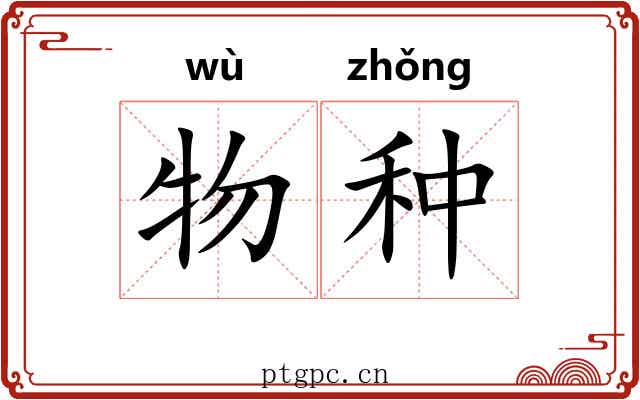 物种 物种