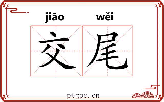 交尾 交尾