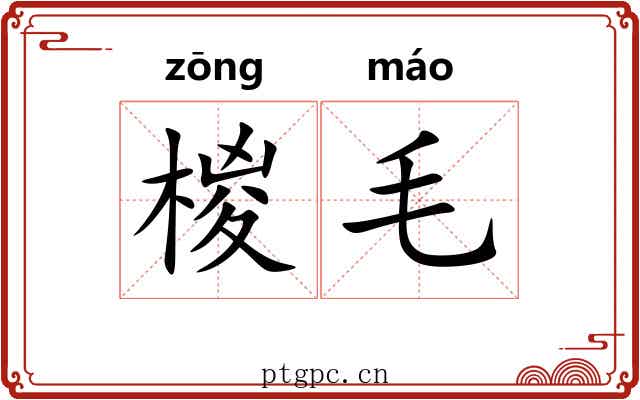 椶毛 椶毛