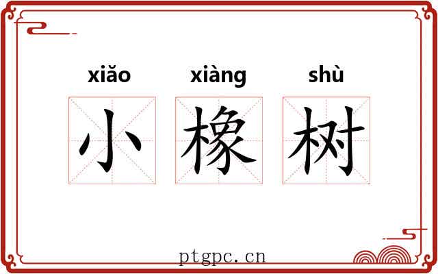 小橡树 小橡树