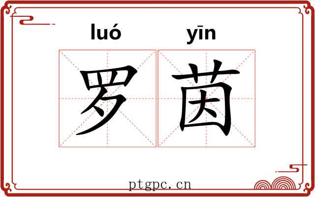 罗茵
