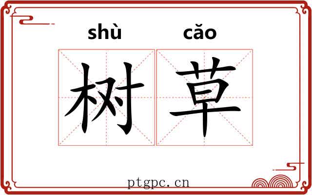 树草 树草