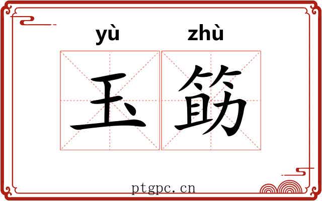 玉筯