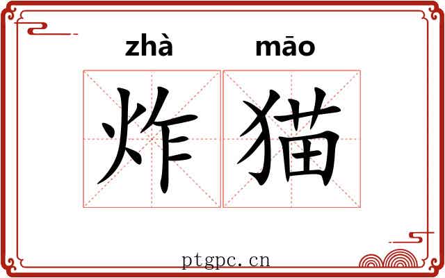 炸猫