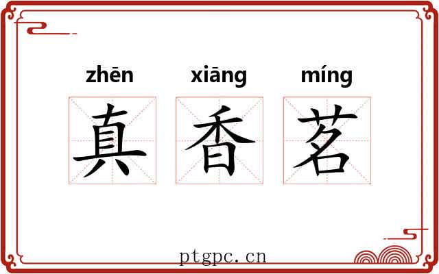 真香茗