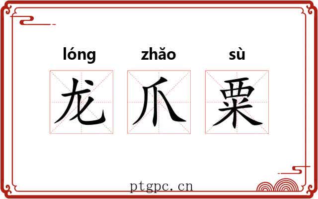 龙爪粟 龙爪粟