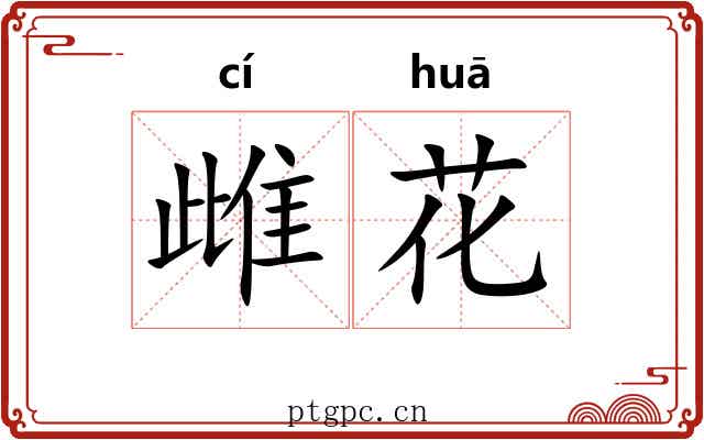 雌花 雌花