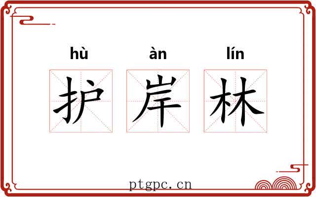护岸林 护岸林