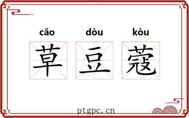 草豆蔻 草豆蔻