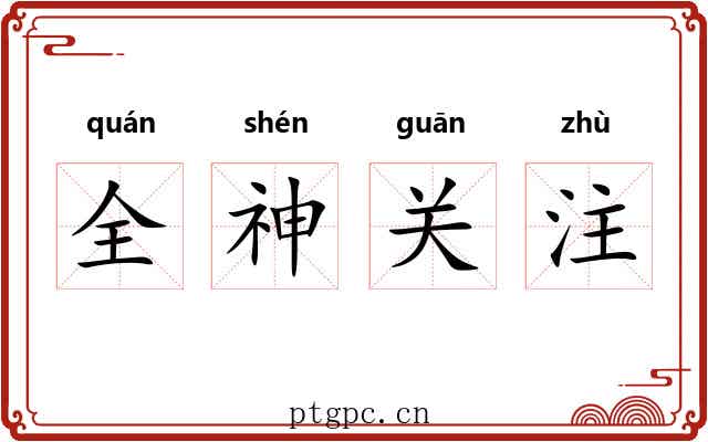 全神关注 全神关注