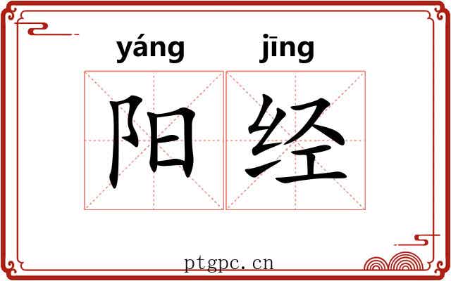 阳经
