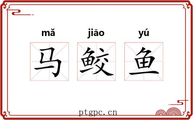 马鲛鱼