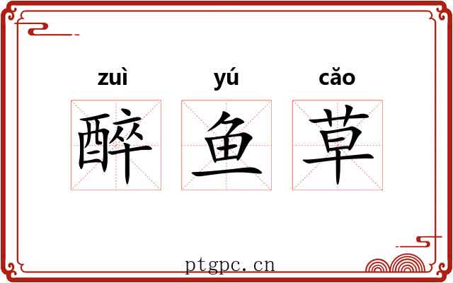 醉鱼草 醉鱼草
