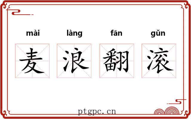 麦浪翻滚 麦浪翻滚