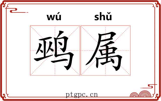 鹀属
