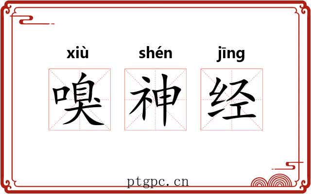 嗅神经