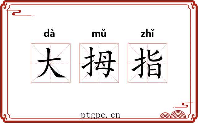 大拇指 大拇指