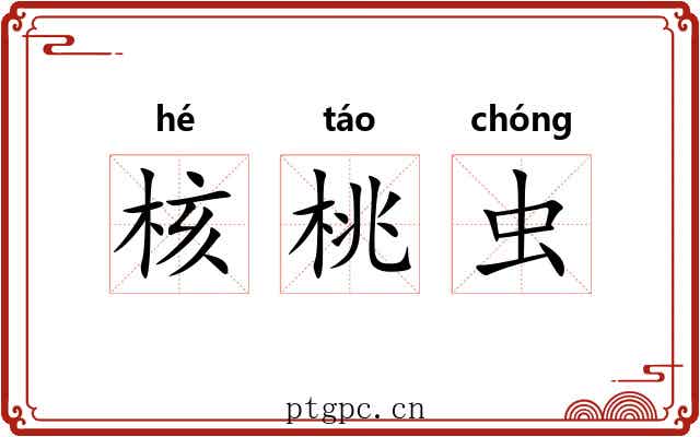 核桃虫 核桃虫