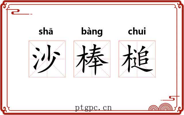 沙棒槌