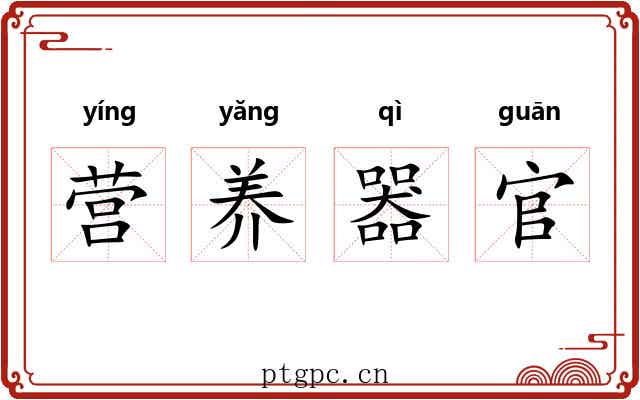 营养器官