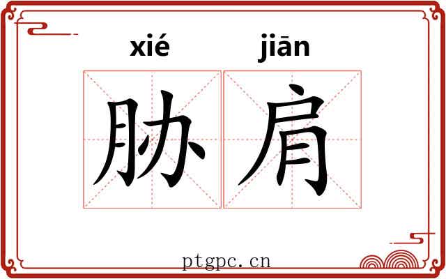 胁肩