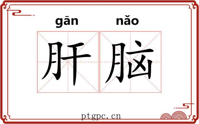 肝脑