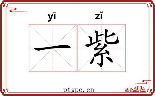 一紫 一紫