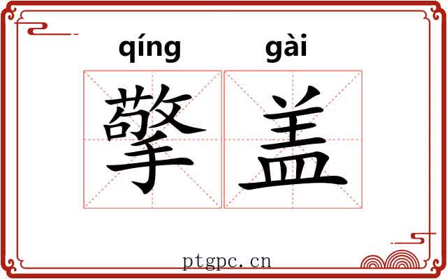 擎盖