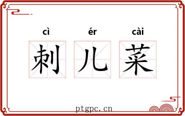 刺儿菜 刺儿菜