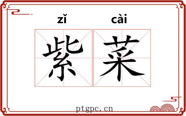 紫菜