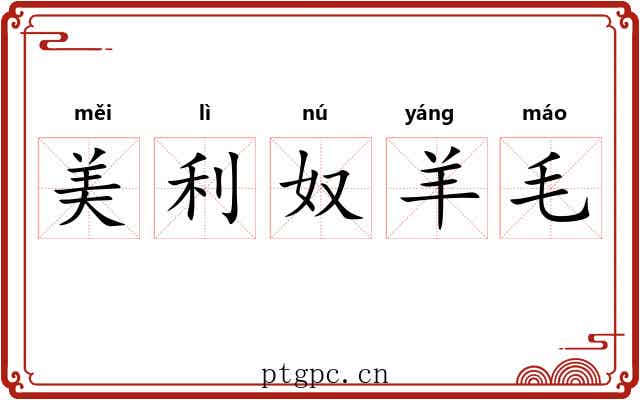 美利奴羊毛 美利奴羊毛