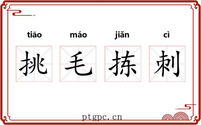 挑毛拣刺