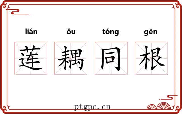 莲耦同根