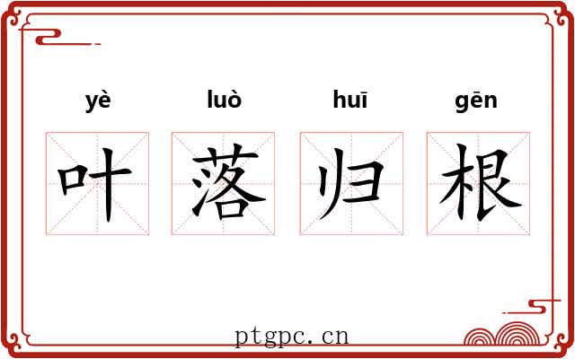 叶落归根 叶落归根