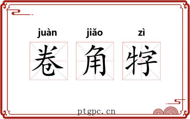 卷角牸 卷角牸