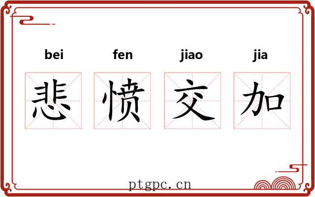 悲愤交加