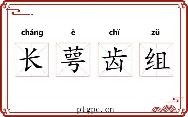 长萼齿组 长萼齿组