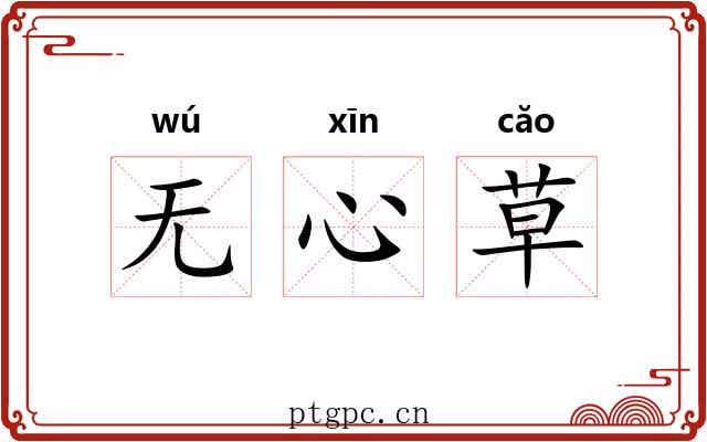 无心草