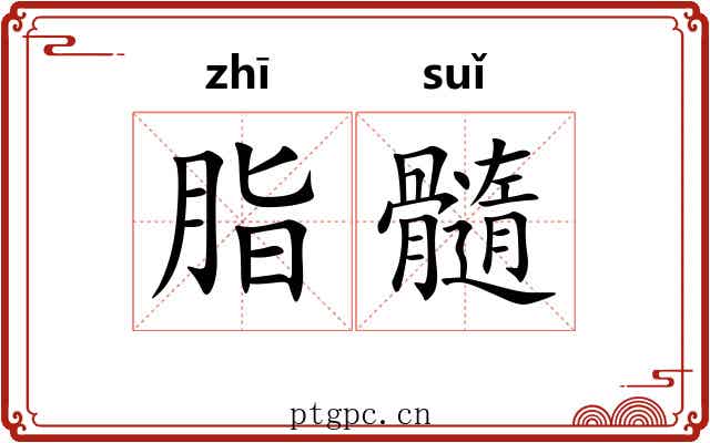 脂髓