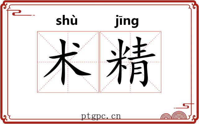 术精