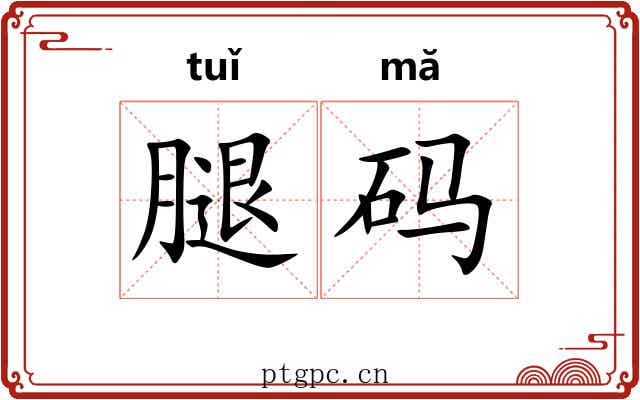 腿码
