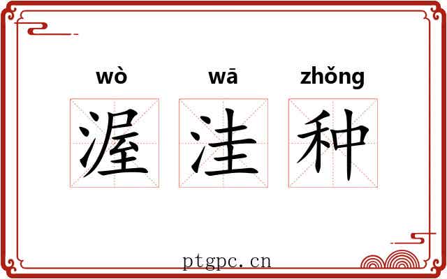 渥洼种 渥洼种