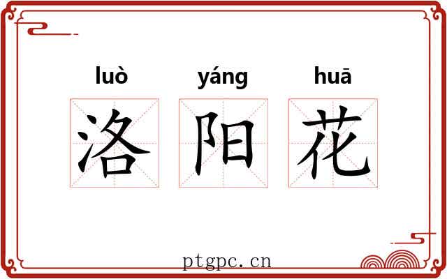 洛阳花 洛阳花