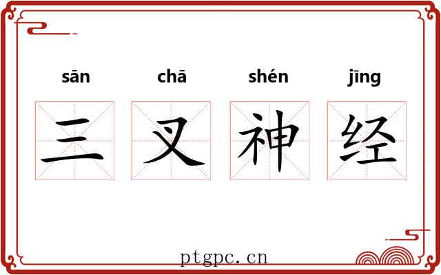 三叉神经 三叉神经