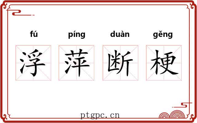 浮萍断梗 浮萍断梗