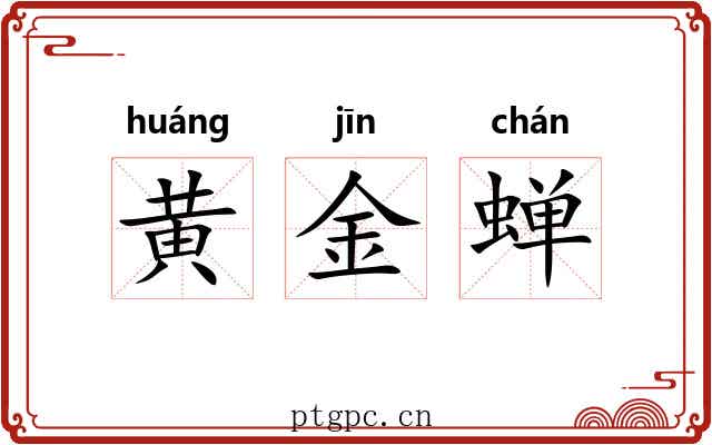 黄金蝉