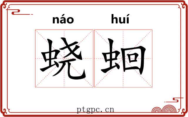 蛲蛔