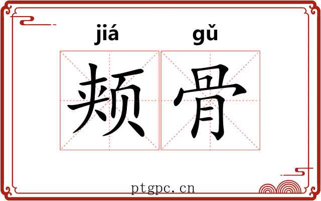颊骨