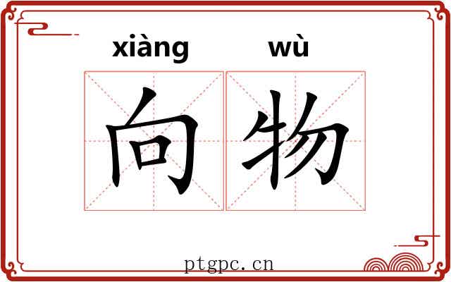 向物