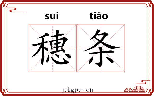 穗条